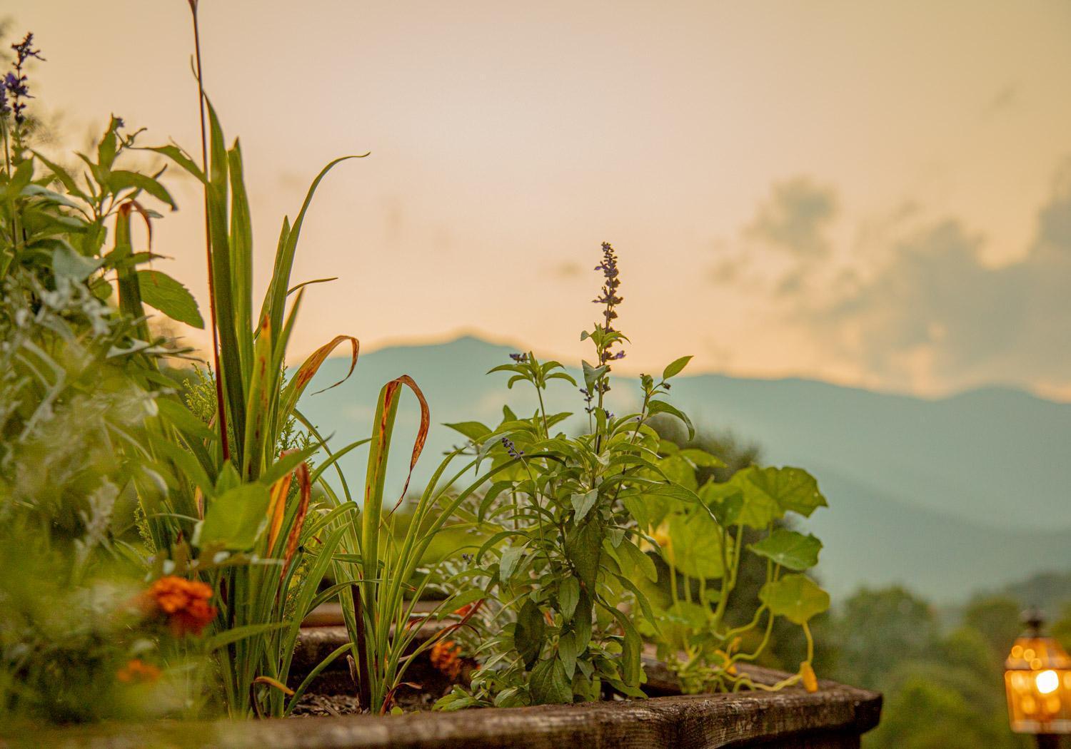 Mount Mitchell Eco Retreat Βίλα Busick Εξωτερικό φωτογραφία
