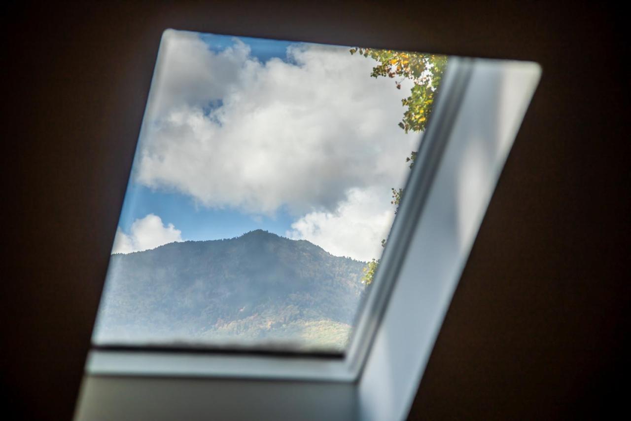 Mount Mitchell Eco Retreat Βίλα Busick Εξωτερικό φωτογραφία